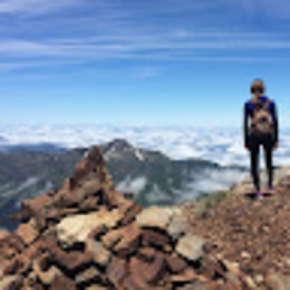 Meet your Posher, Nina